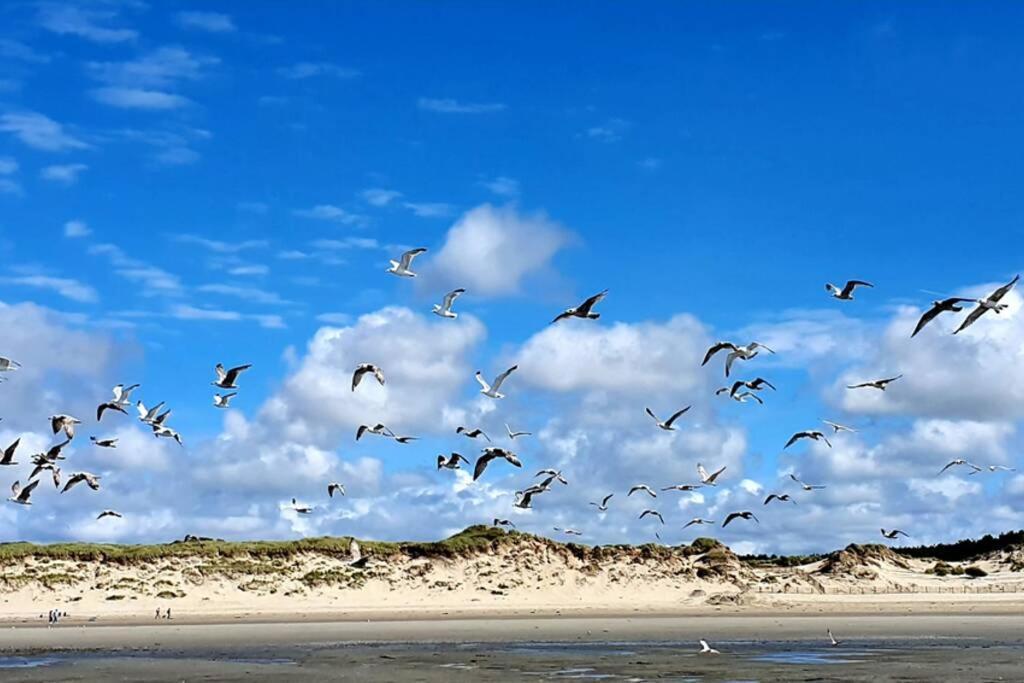 La Cabane Des Dunes A Fort-Mahon Plage Eksteriør bilde
